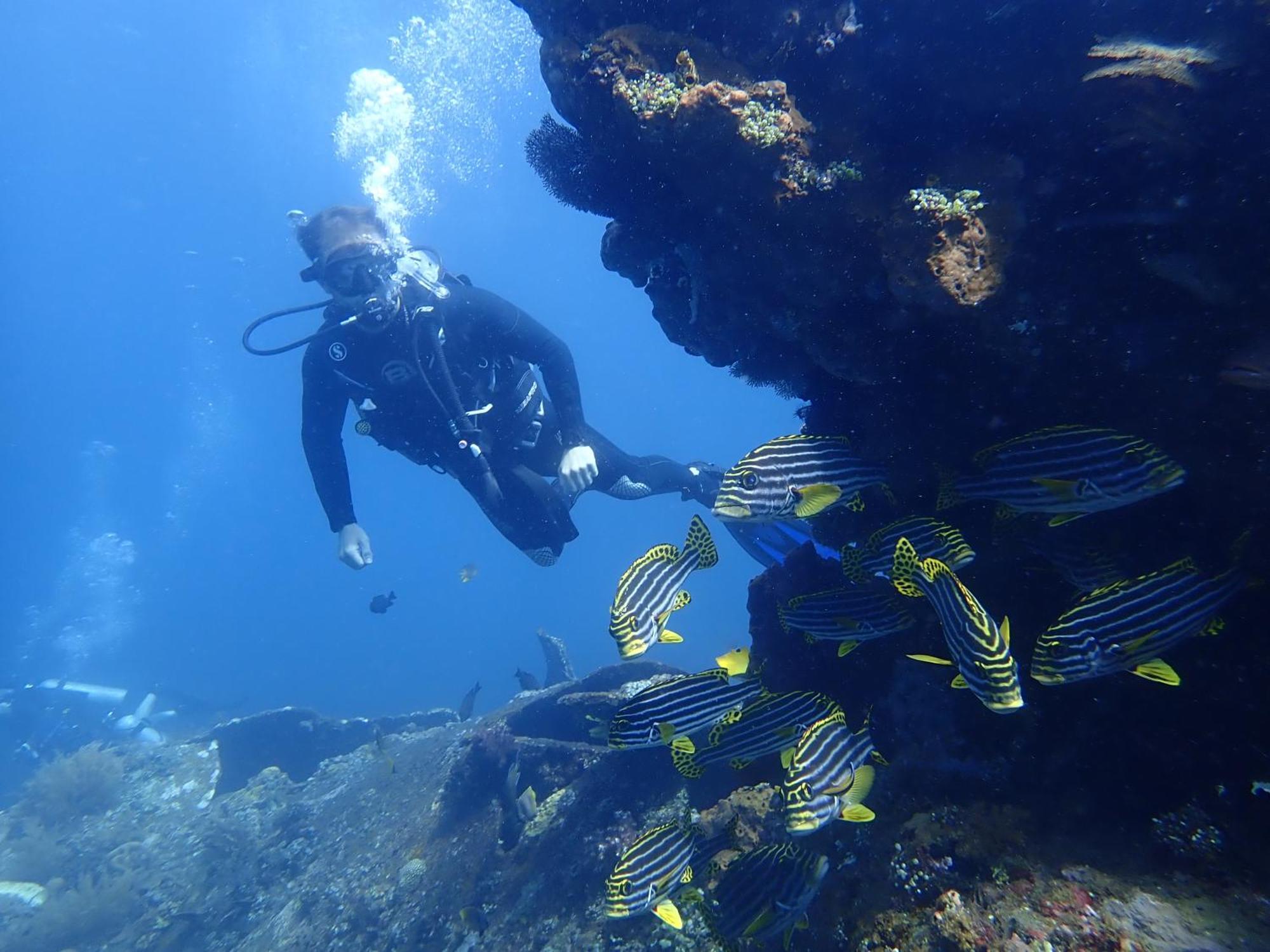 Palm Springs Bali Dive Resort Tulamben Exterior foto